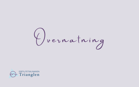 Overnatning